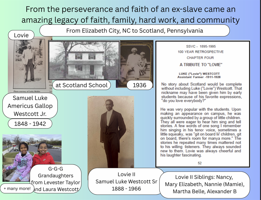 Poster 1 - Perseverance story